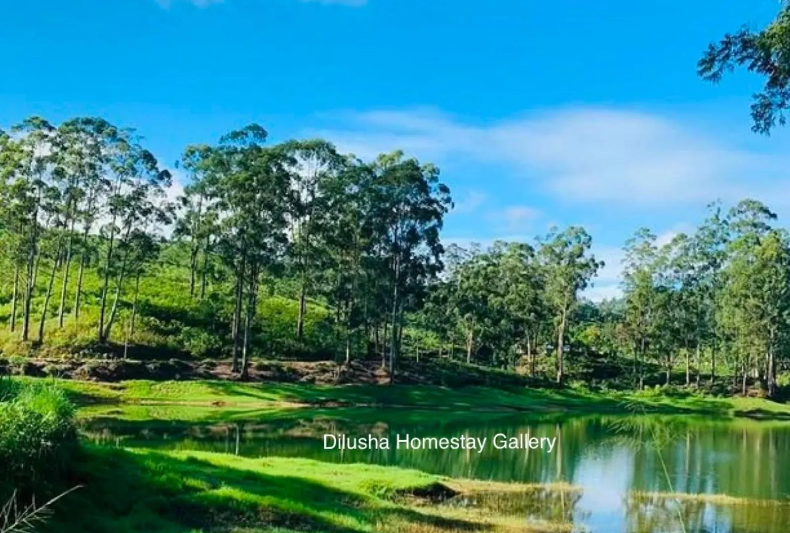 Dilusha Home Stay Maskeliya Bed & Breakfast