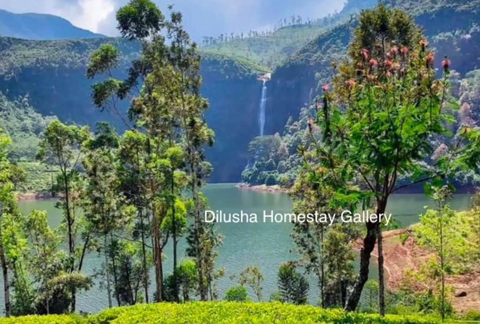 Dilusha Home Stay Maskeliya Sri Lanka