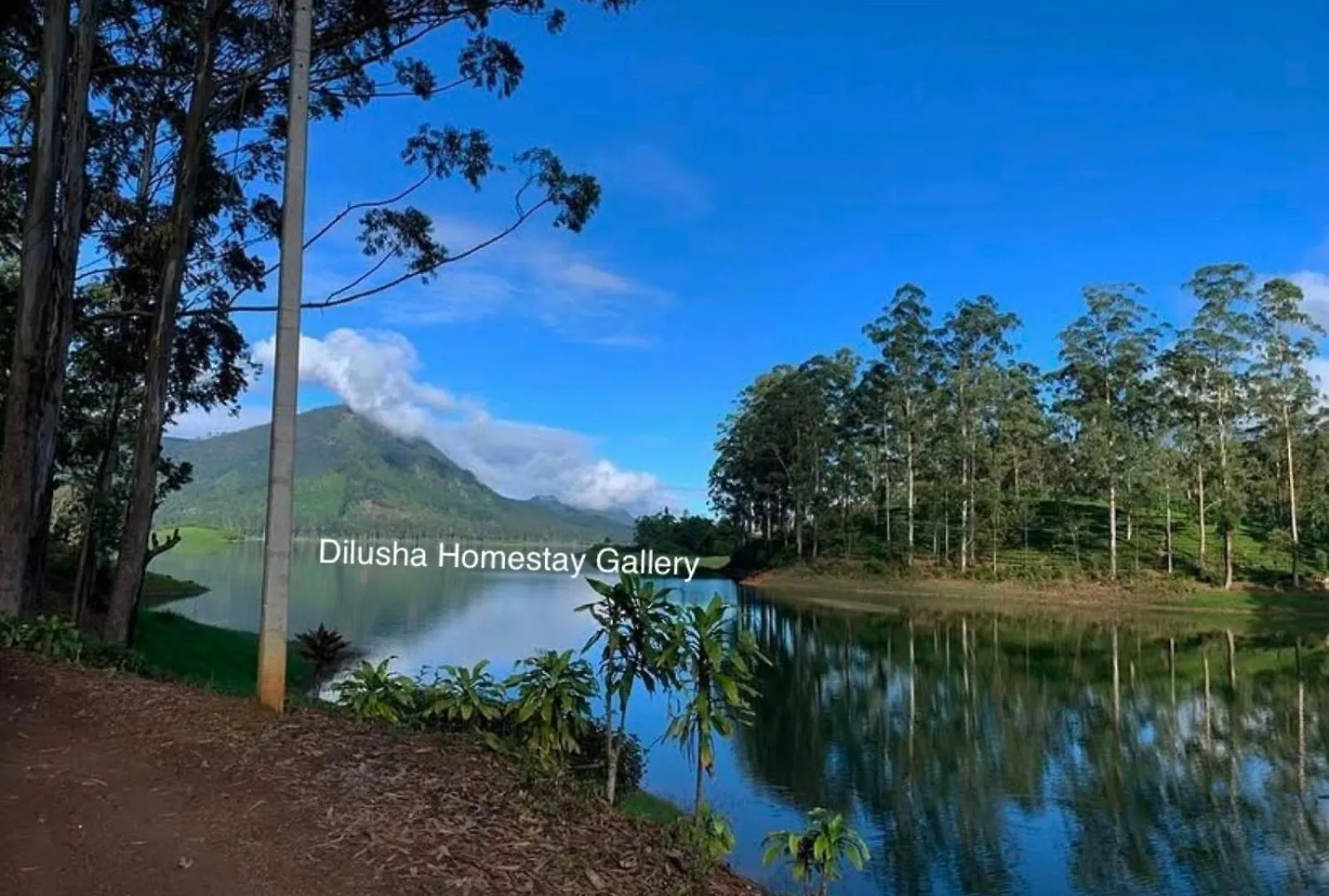 Dilusha Home Stay Maskeliya 0*,  Sri Lanka