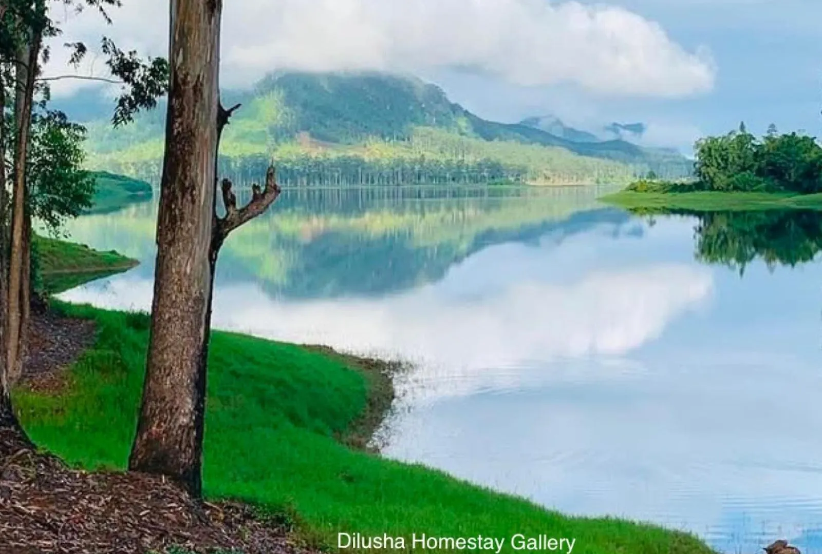 Bed & Breakfast Dilusha Home Stay Maskeliya Sri Lanka