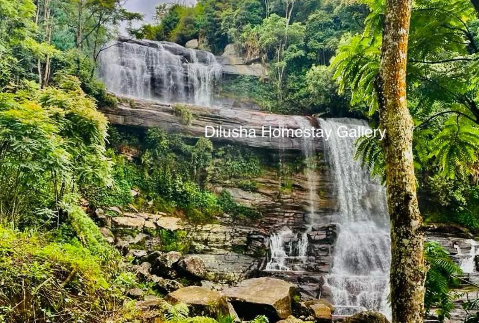 Dilusha Home Stay Maskeliya
